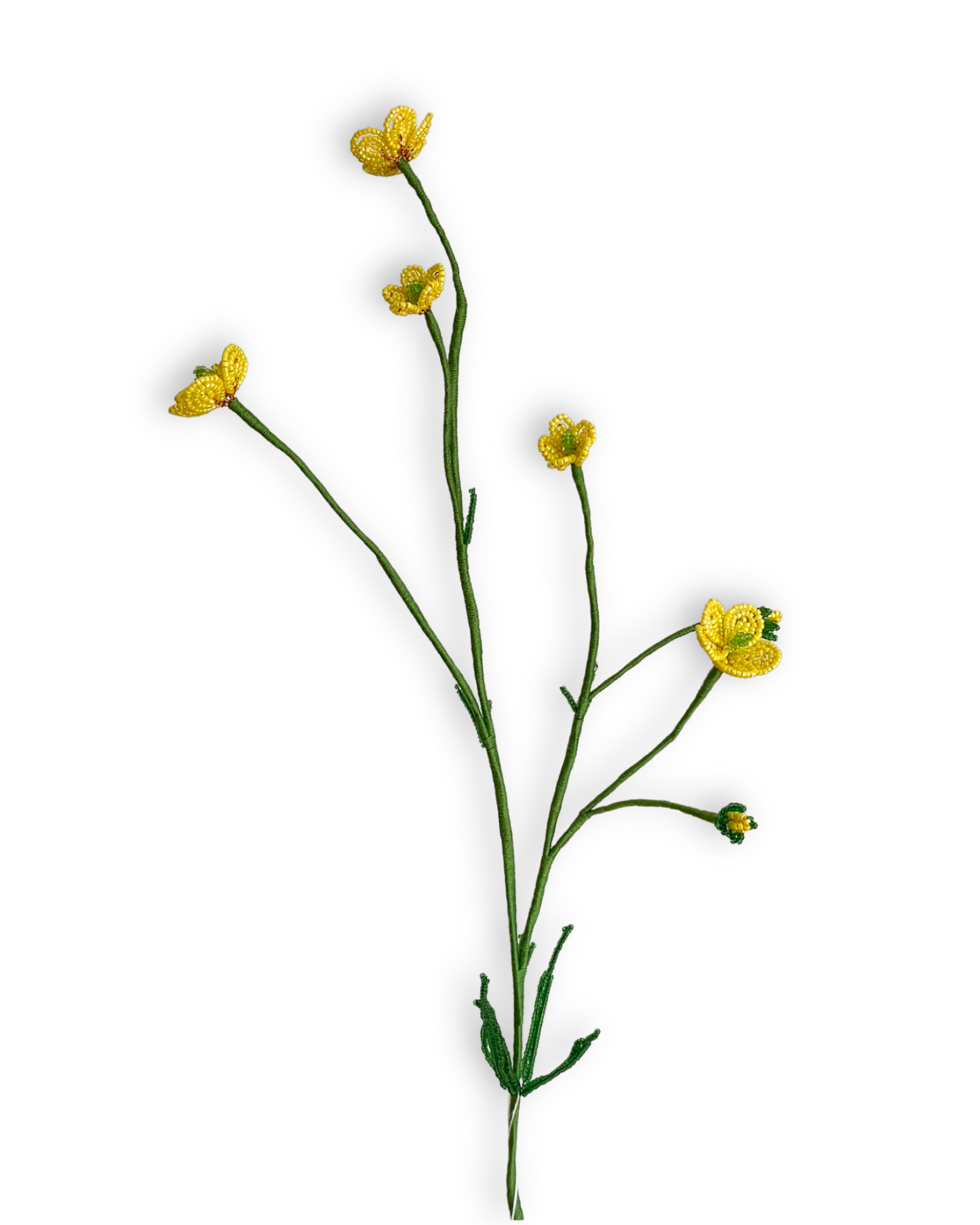Smørblomst
