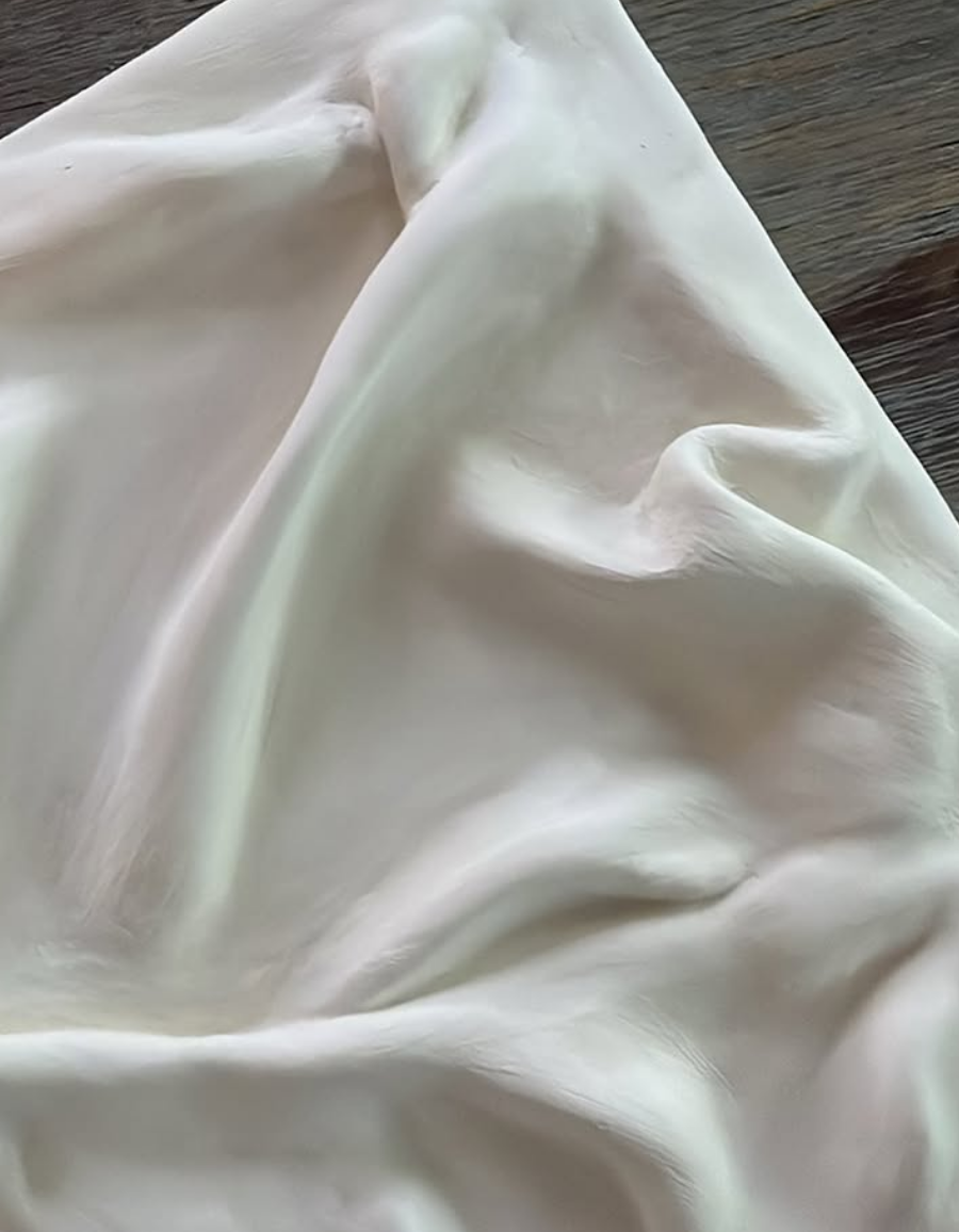 Sculpted form textured painting