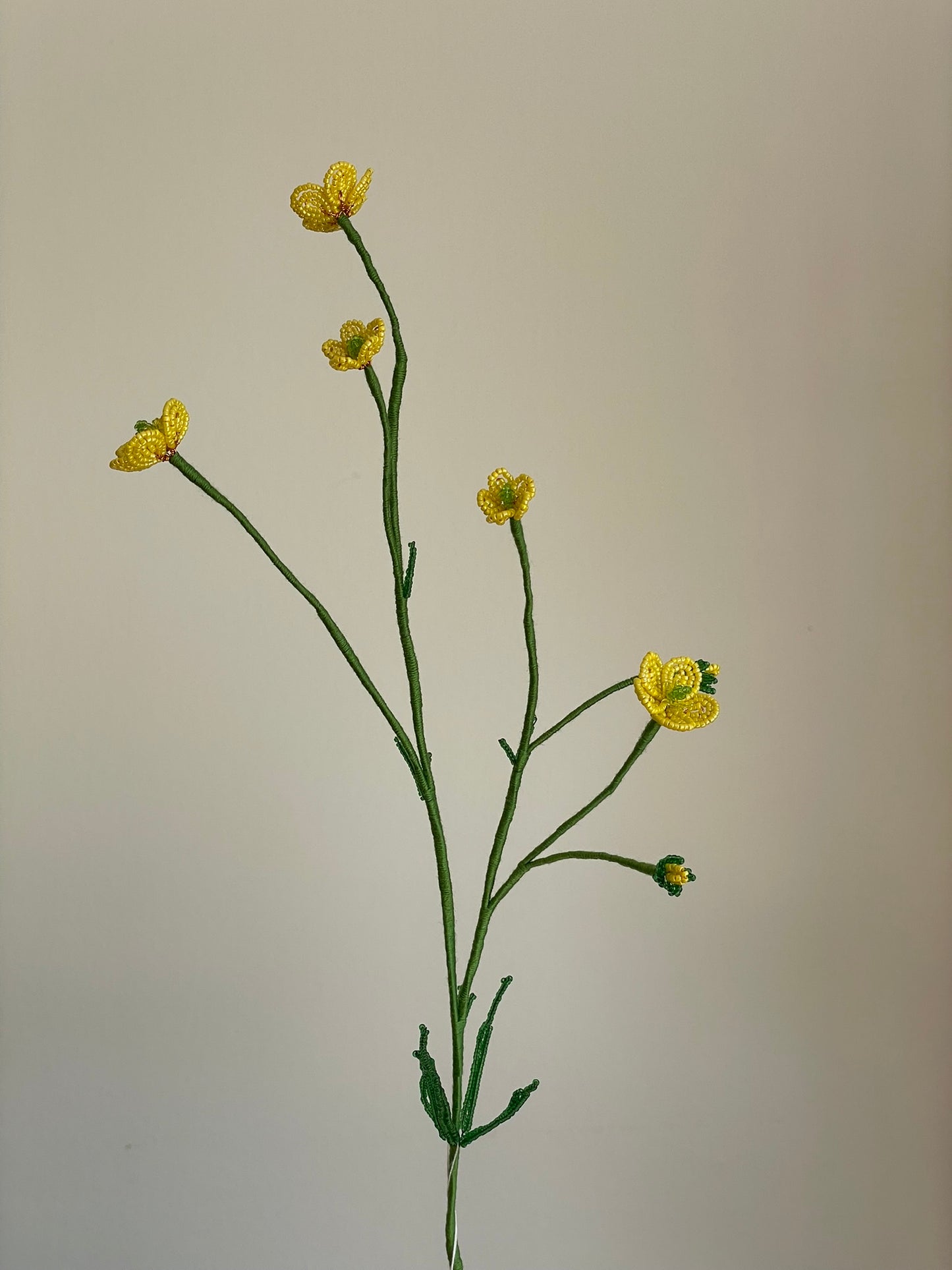Smørblomst