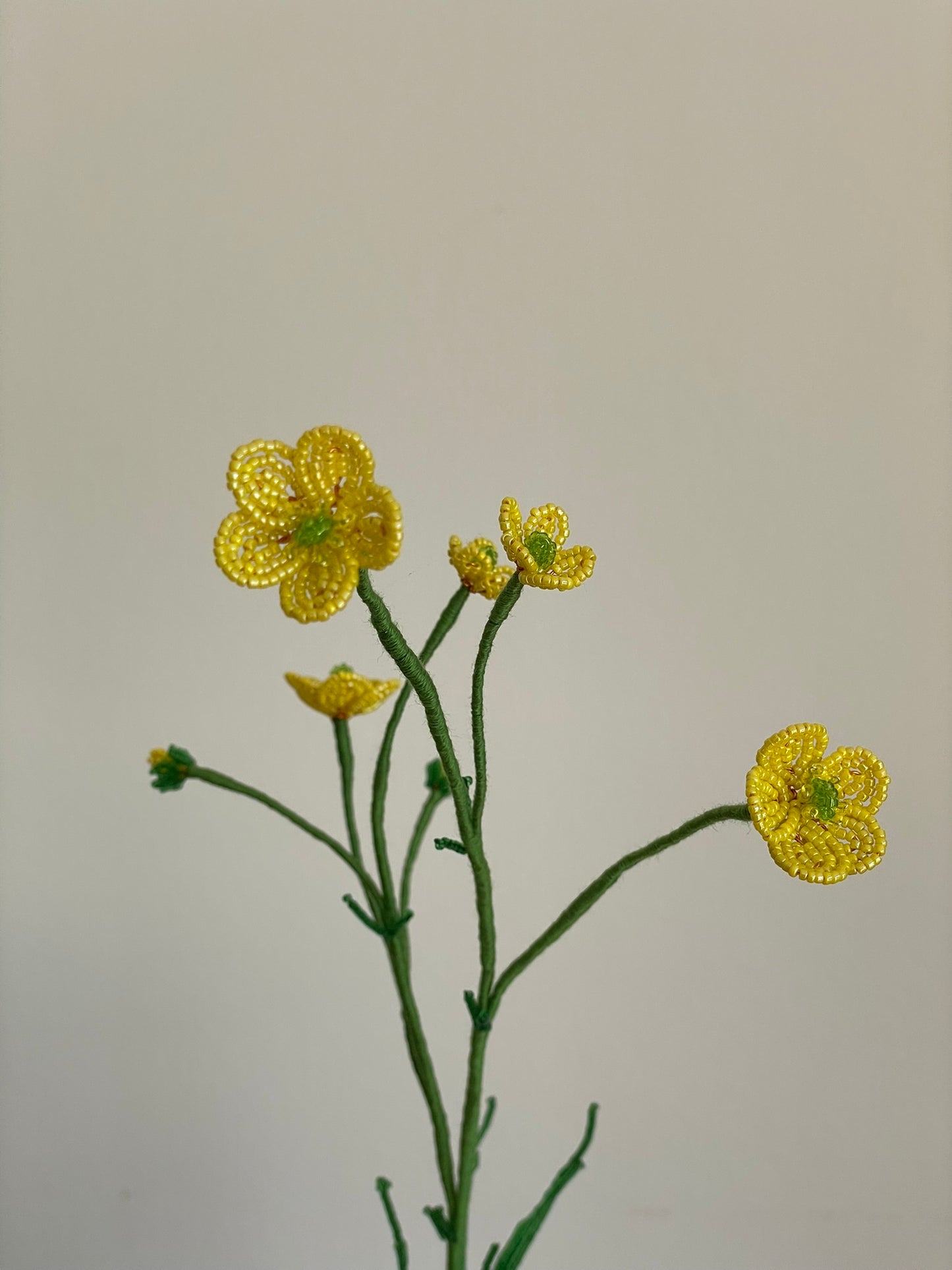 Smørblomst