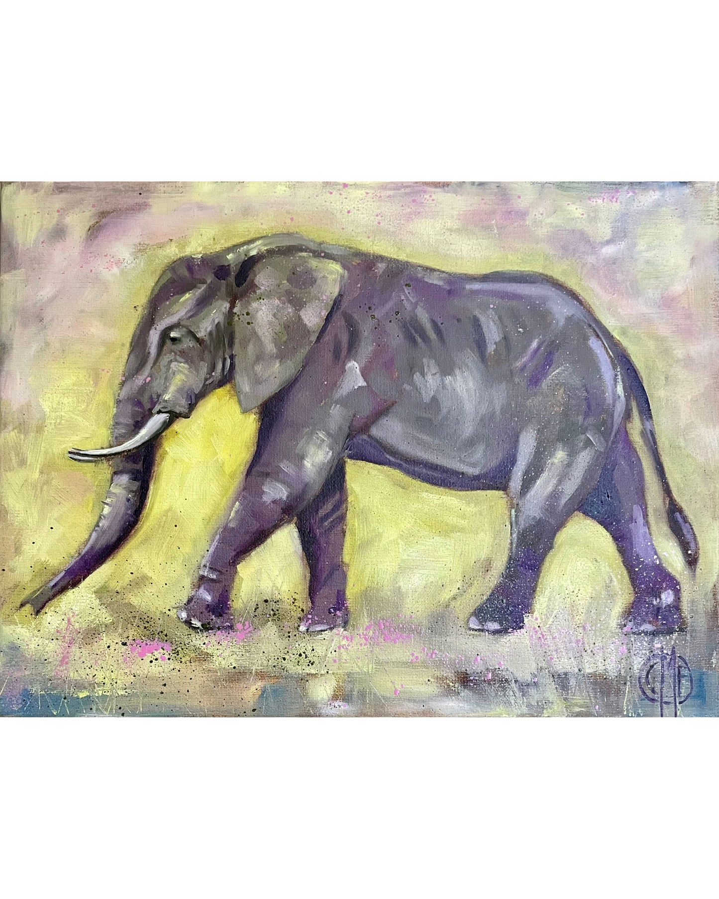Elefant
