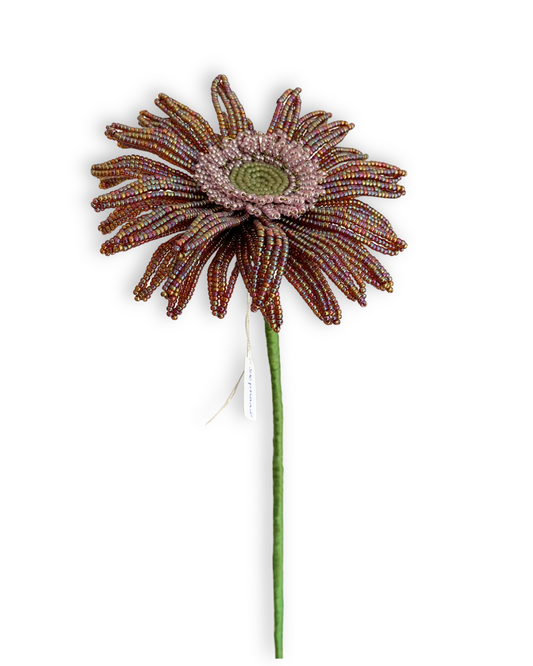 Gerbera
