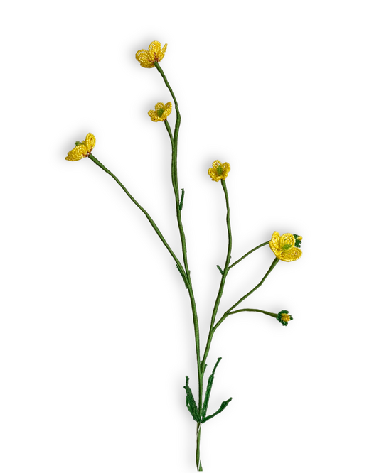 Smørblomst