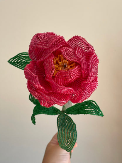 Bonderose