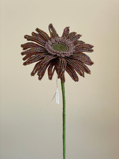 Gerbera