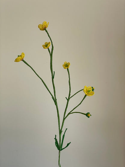Smørblomst