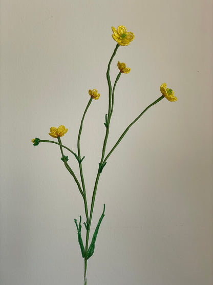 Smørblomst
