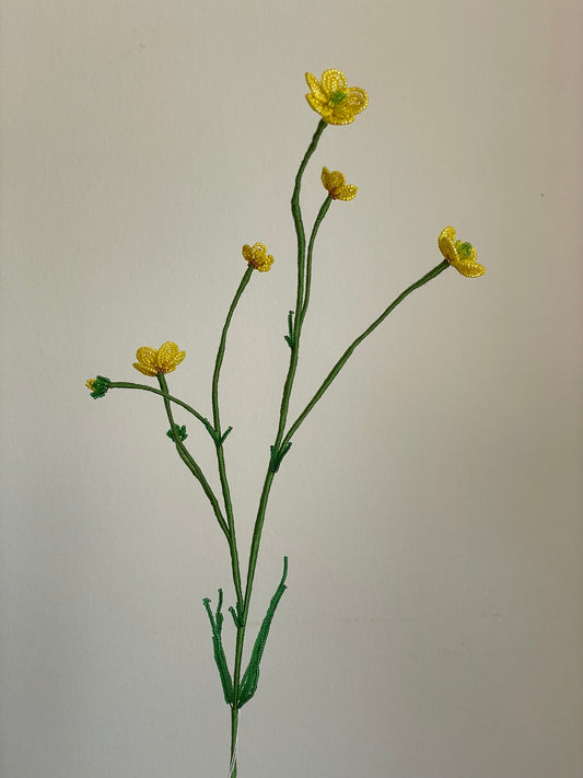 Smørblomst
